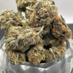 *New*Purple Urkle Special Price $125oz !