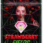 *New* Strawberry Fields (Indica) – Diamond Extracts Shatter 1 Gram $35.00