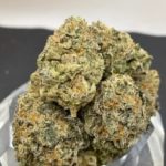 *New* Gorilla Glue #5 Special price $165