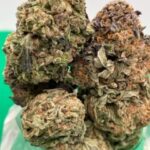 *New* Tropical Infusion Special Price $125oz !